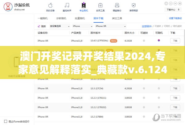 澳门开奖记录开奖结果2024,专家意见解释落实_典藏款v.6.124