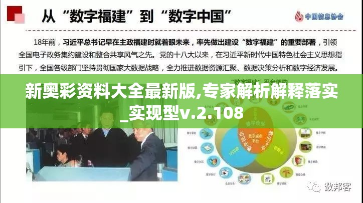 新奥彩资料大全最新版,专家解析解释落实_实现型v.2.108