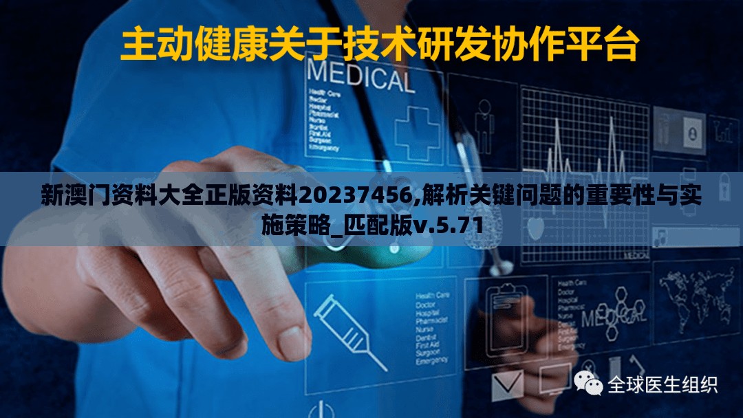 新澳门资料大全正版资料20237456,解析关键问题的重要性与实施策略_匹配版v.5.71
