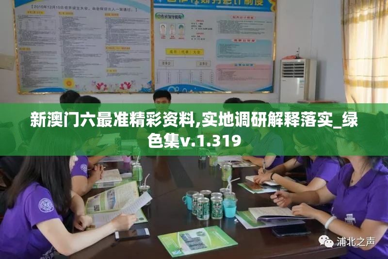 新澳门六最准精彩资料,实地调研解释落实_绿色集v.1.319