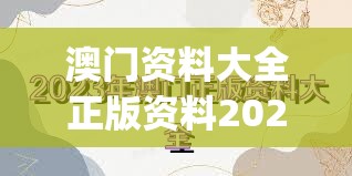 澳门资料大全正版资料2023年免费,绝对经典解释落实_进阶版v.5.623