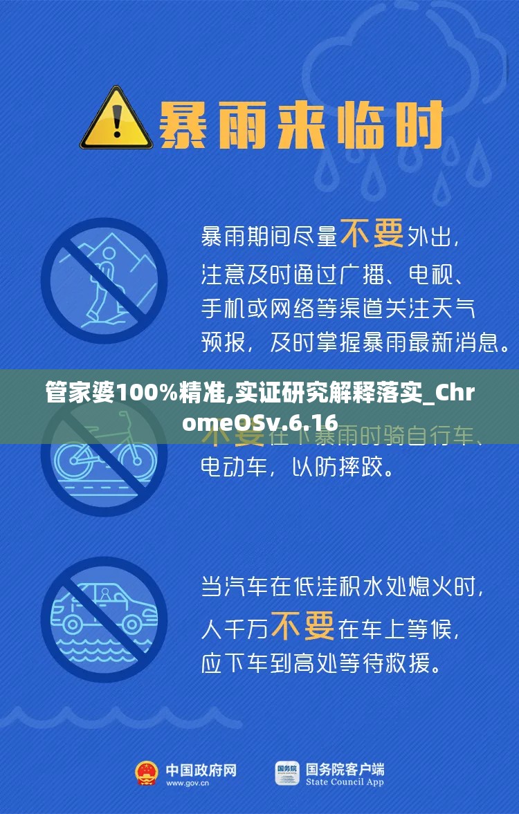 管家婆100%精准,实证研究解释落实_ChromeOSv.6.16