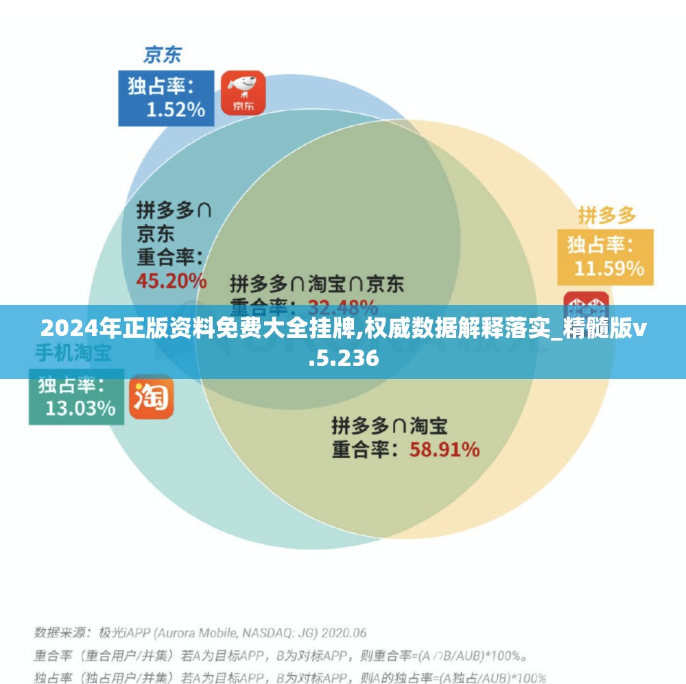 2024年正版资料免费大全挂牌,权威数据解释落实_精髓版v.5.236