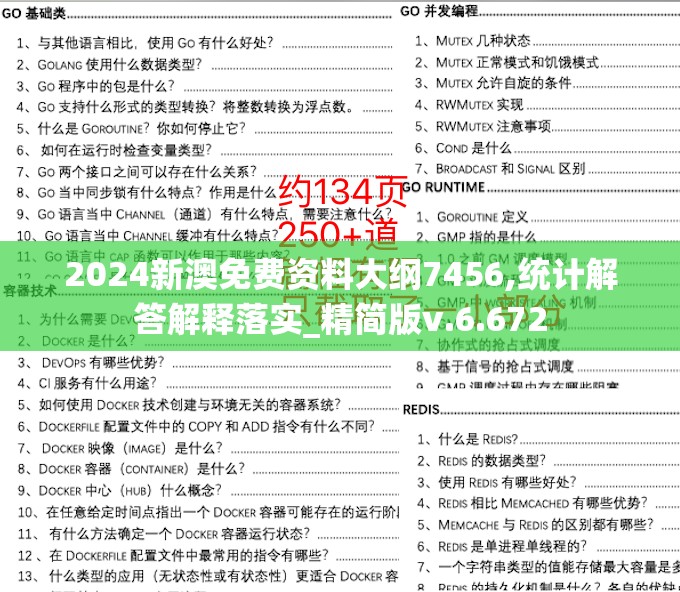 2024新澳免费资料大纲7456,统计解答解释落实_精简版v.6.672