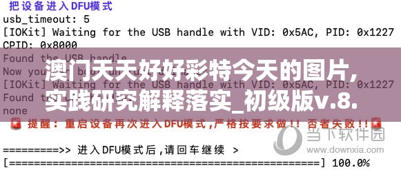 澳门天天好好彩特今天的图片,实践研究解释落实_初级版v.8.126