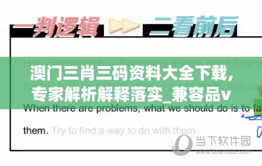 澳门三肖三码资料大全下载,专家解析解释落实_兼容品v.1.308