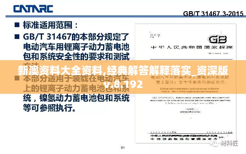 新澳资料大全资料,经典解答解释落实_资深版v.8.192