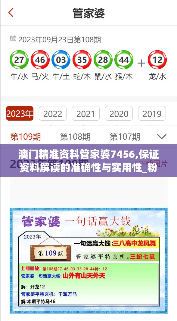 澳门精准资料管家婆7456,保证资料解读的准确性与实用性_粉丝版v.9.381