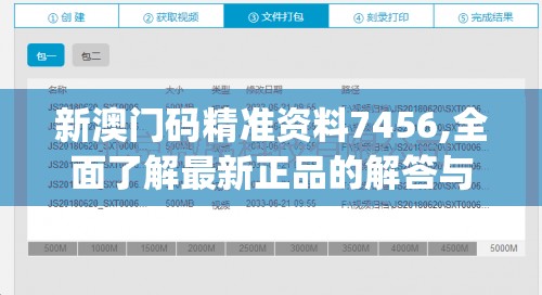 新澳门码精准资料7456,全面了解最新正品的解答与应用_精细款v.7.315