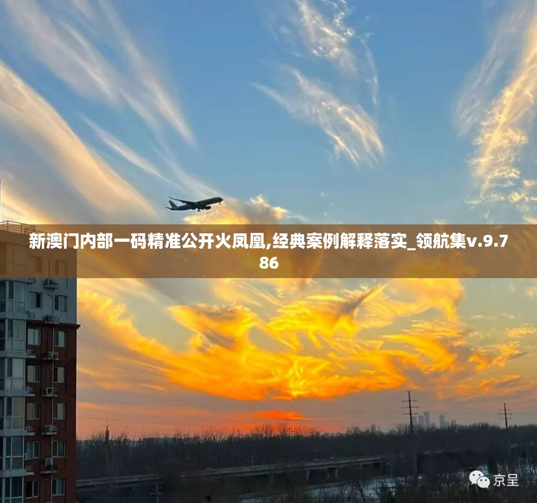 新澳门内部一码精准公开火凤凰,经典案例解释落实_领航集v.9.786