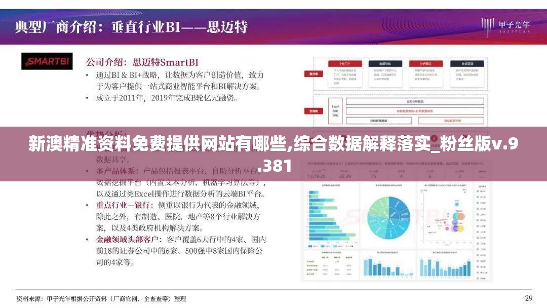 新澳精准资料免费提供网站有哪些,综合数据解释落实_粉丝版v.9.381
