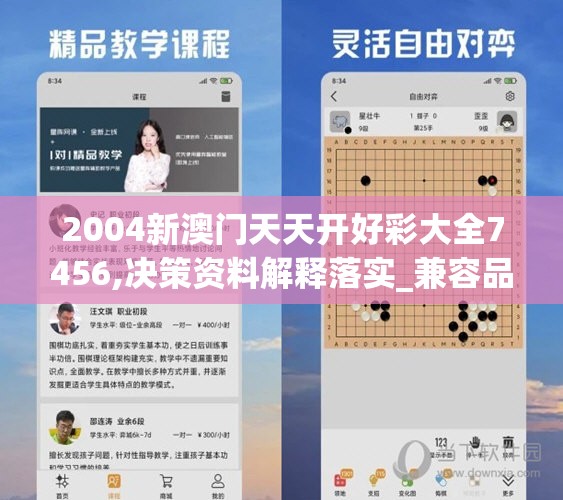 2004新澳门天天开好彩大全7456,决策资料解释落实_兼容品v.1.308