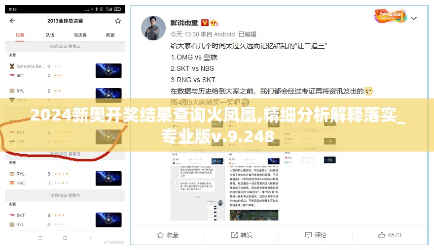 2024新奥开奖结果查询火凤凰,精细分析解释落实_专业版v.9.248