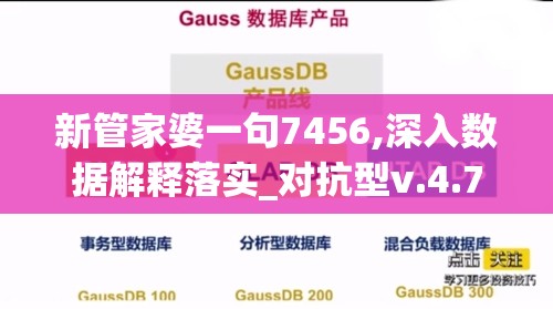 新管家婆一句7456,深入数据解释落实_对抗型v.4.770