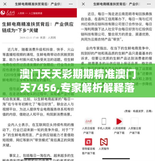 澳门天天彩期期精准澳门天7456,专家解析解释落实_复古版v.4.300