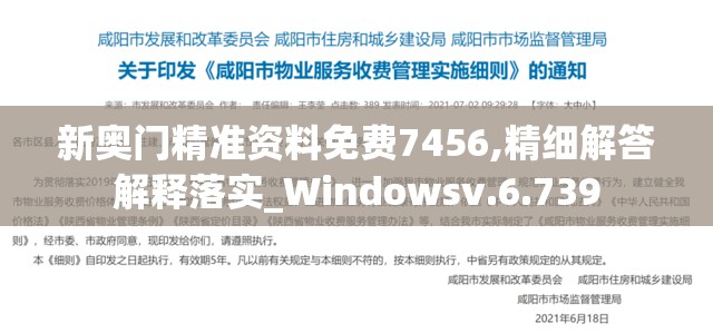 新奥门精准资料免费7456,精细解答解释落实_Windowsv.6.739