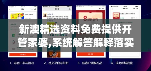 新澳精选资料免费提供开管家婆,系统解答解释落实_潮流集v.6.84