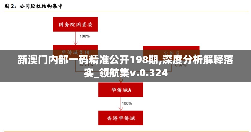 新澳门内部一码精准公开198期,深度分析解释落实_领航集v.0.324