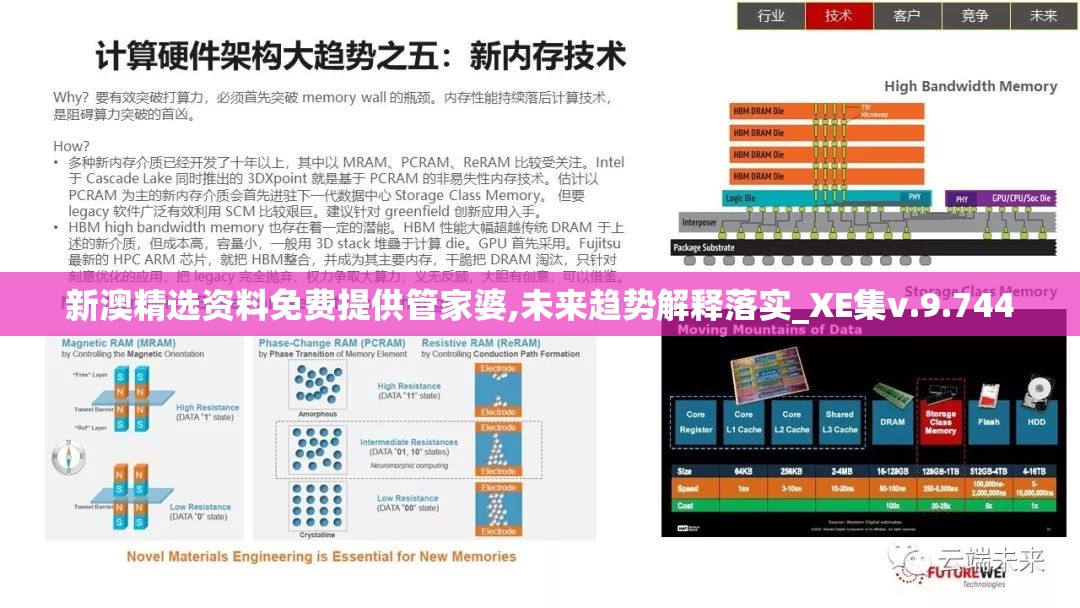 新澳精选资料免费提供管家婆,未来趋势解释落实_XE集v.9.744
