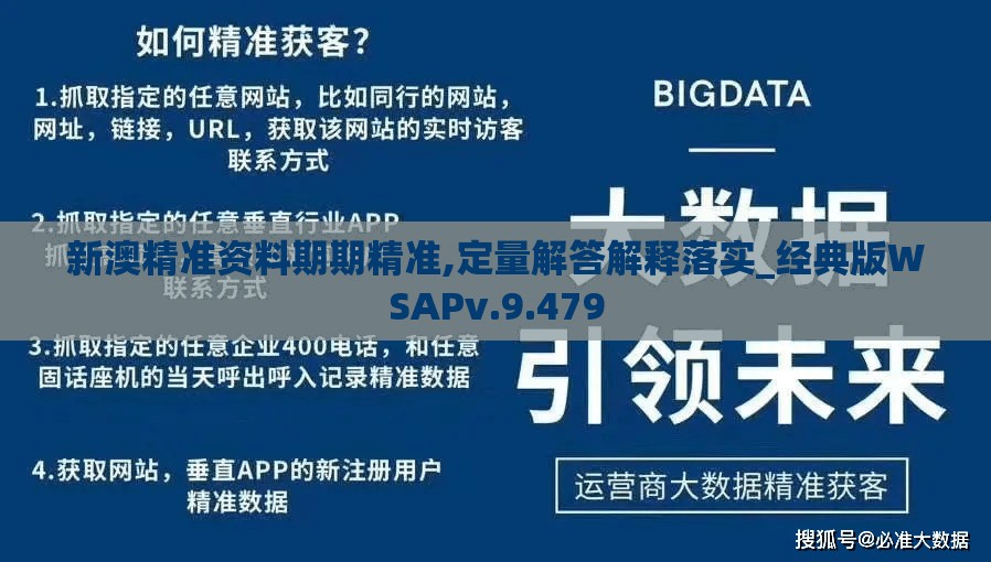 新澳精准资料期期精准,定量解答解释落实_经典版WSAPv.9.479