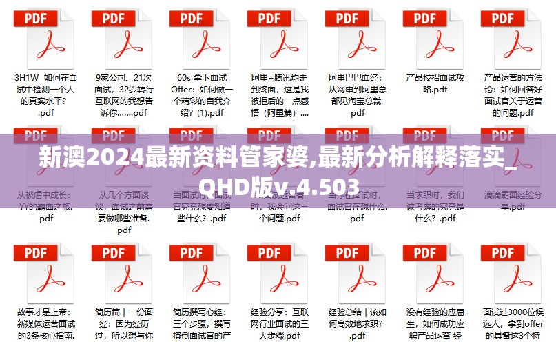 新澳2024最新资料管家婆,最新分析解释落实_QHD版v.4.503