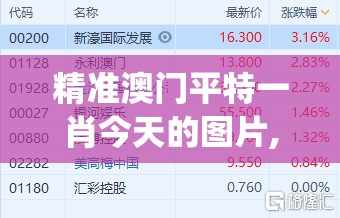 精准澳门平特一肖今天的图片,现状分析解释落实_MRv.7.196