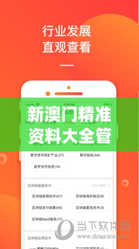 新澳门精准资料大全管家婆料今天的图片,探讨有效解答的实施方法_复刻版v.9.377