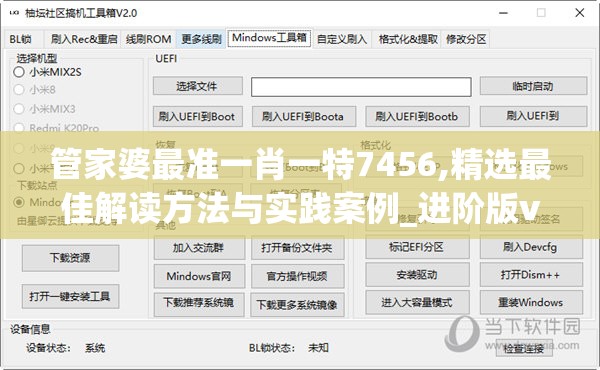 管家婆最准一肖一特7456,精选最佳解读方法与实践案例_进阶版v.5.623