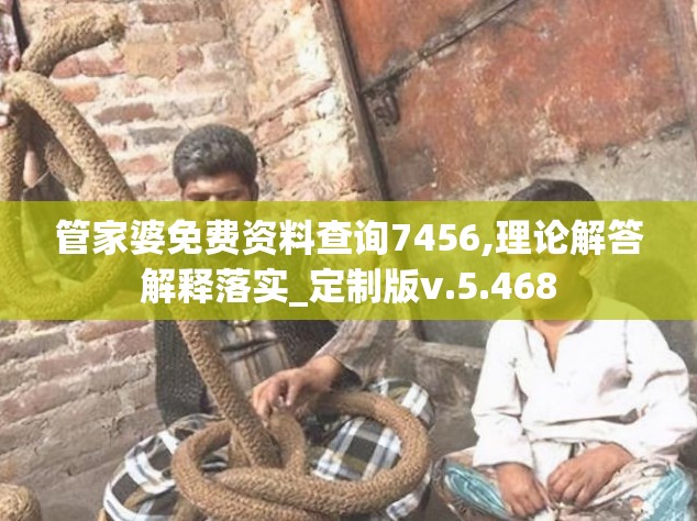 管家婆免费资料查询7456,理论解答解释落实_定制版v.5.468