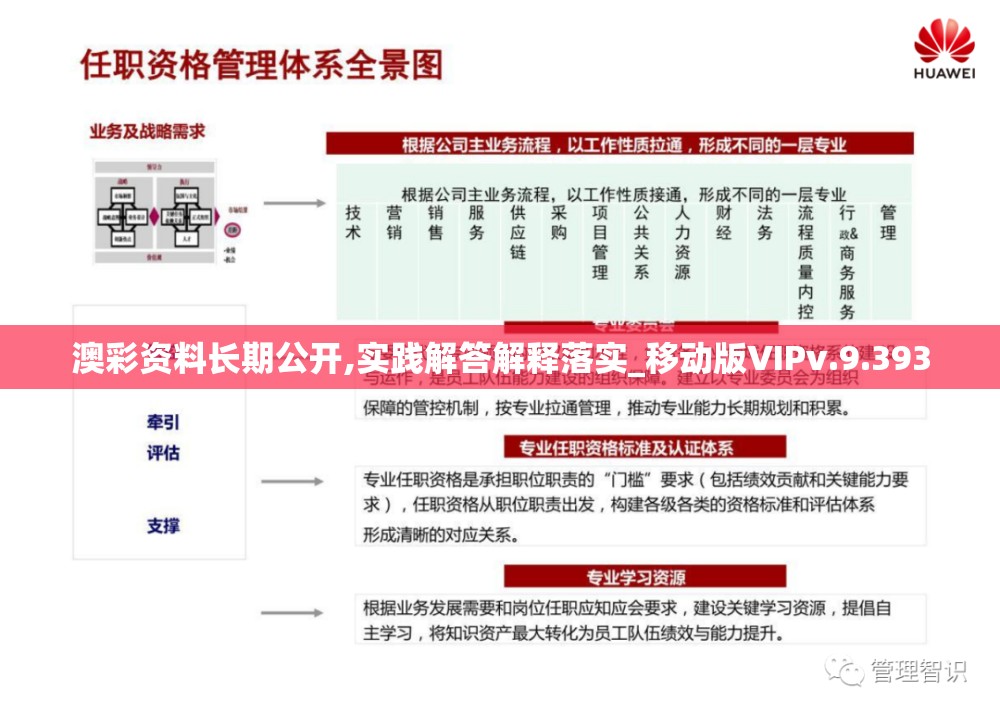 澳彩资料长期公开,实践解答解释落实_移动版VIPv.9.393