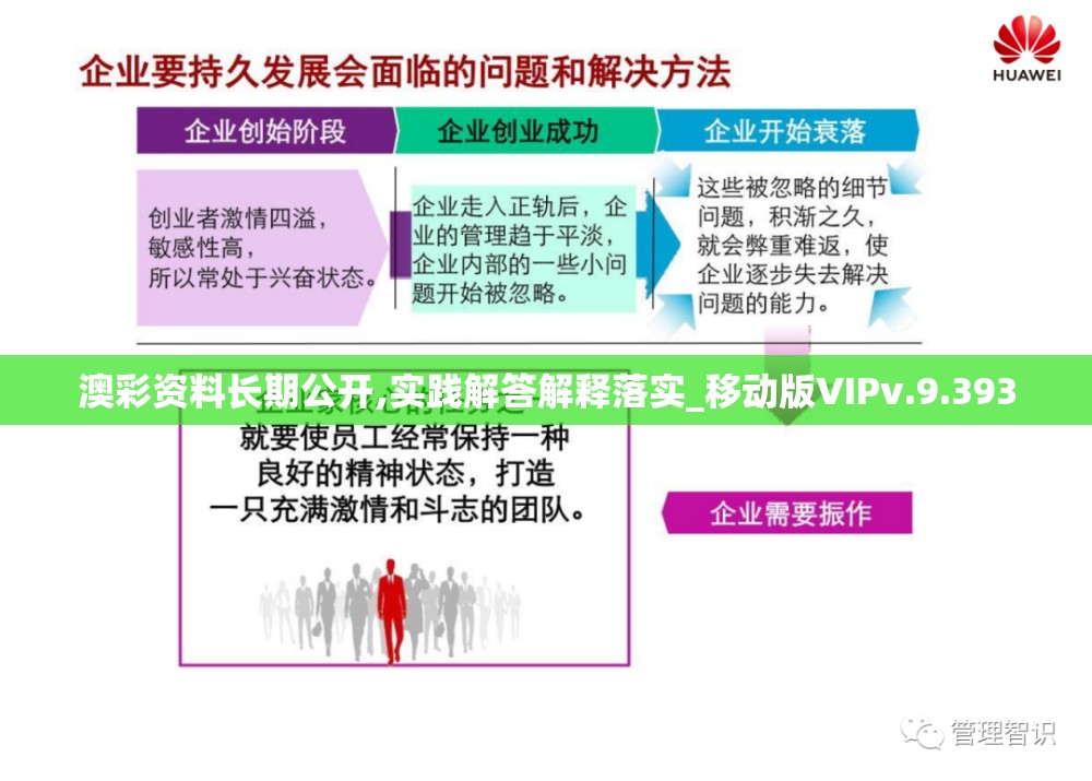 澳彩资料长期公开,实践解答解释落实_移动版VIPv.9.393
