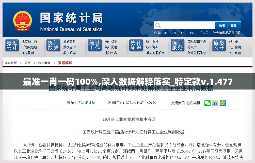 最准一肖一码100%,深入数据解释落实_特定款v.1.477