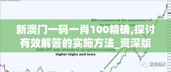 新澳门一码一肖100精确,探讨有效解答的实施方法_资深版v.7.620