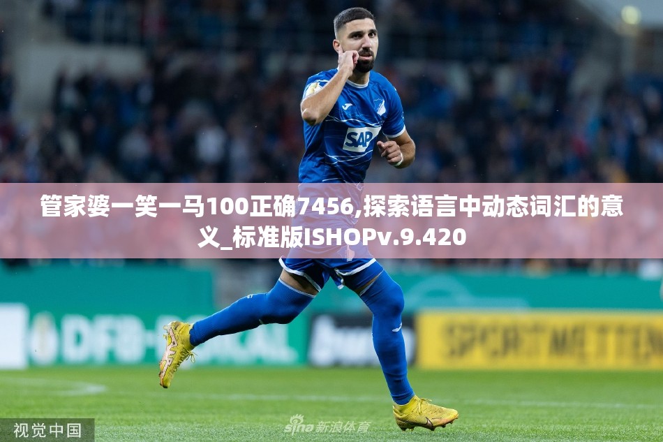 管家婆一笑一马100正确7456,探索语言中动态词汇的意义_标准版ISHOPv.9.420