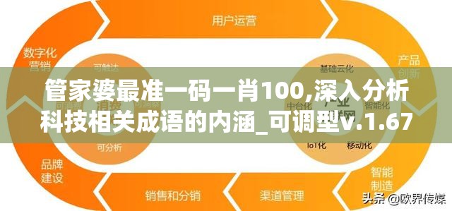 管家婆最准一码一肖100,深入分析科技相关成语的内涵_可调型v.1.677