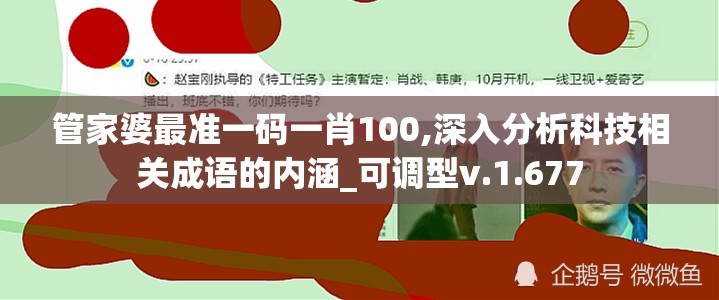 管家婆最准一码一肖100,深入分析科技相关成语的内涵_可调型v.1.677