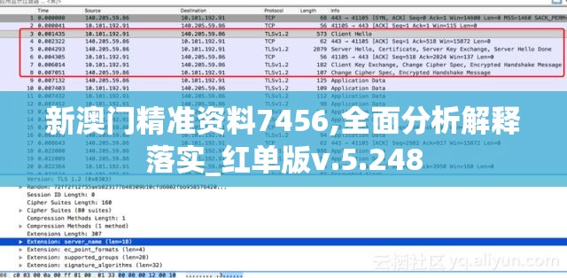 新澳门精准资料7456,全面分析解释落实_红单版v.5.248