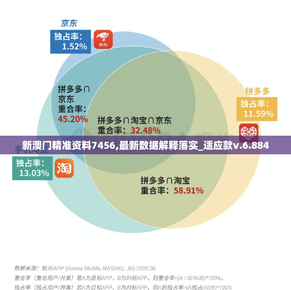 新澳门精准资料7456,最新数据解释落实_适应款v.6.884