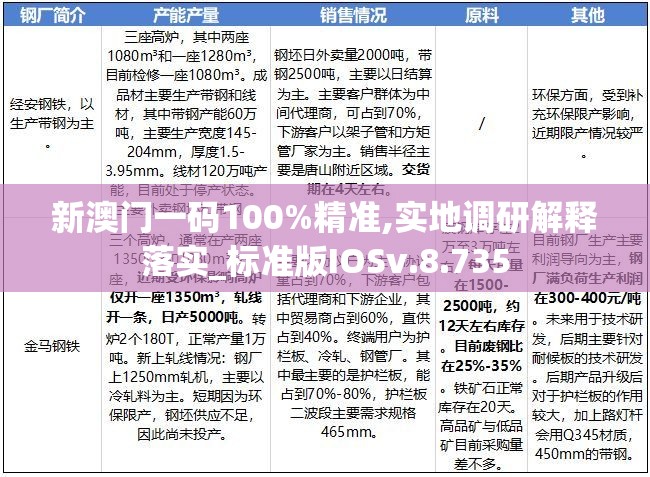 新澳门一码100%精准,实地调研解释落实_标准版IOSv.8.735