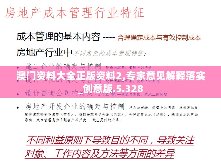 澳门资料大全正版资料2,专家意见解释落实_创意版.5.328