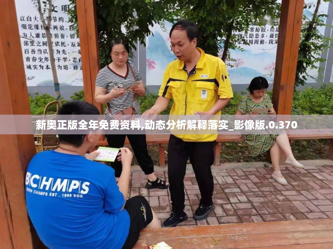 新奥正版全年免费资料,动态分析解释落实_影像版.0.370