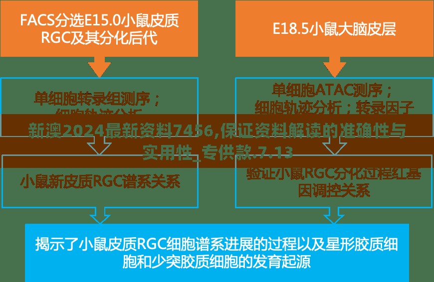 新澳2024最新资料7456,保证资料解读的准确性与实用性_专供款.7.13