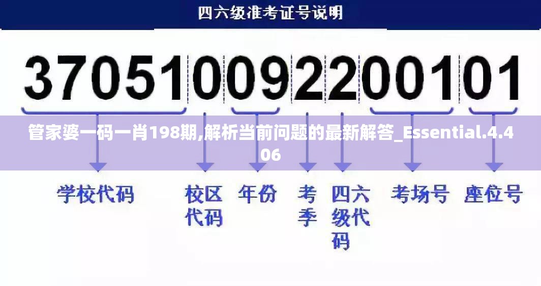 管家婆一码一肖198期,解析当前问题的最新解答_Essential.4.406