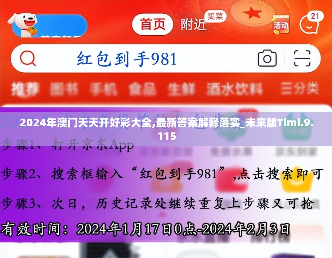 2024年澳门天天开好彩大全,最新答案解释落实_未来版Timi.9.115