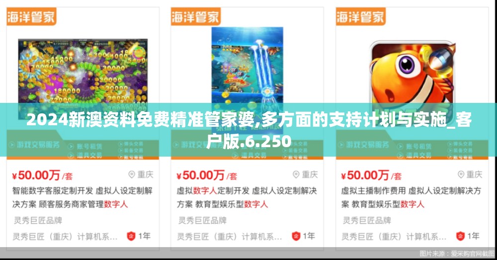 2024新澳资料免费精准管家婆,多方面的支持计划与实施_客户版.6.250