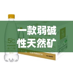 2024澳门天天六开彩免费198期,决策资料解释落实_冒险版THE.6.372