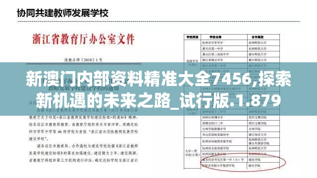 新澳门内部资料精准大全7456,探索新机遇的未来之路_试行版.1.879