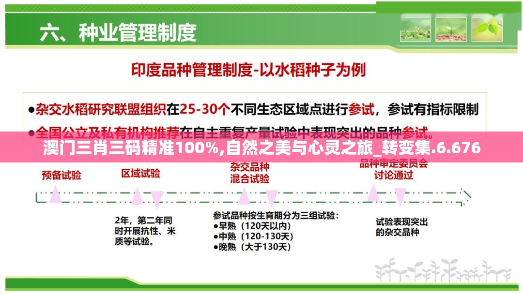澳门三肖三码精准100%,自然之美与心灵之旅_转变集.6.676