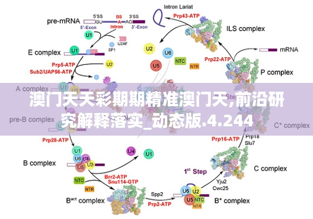 澳门天天彩期期精准澳门天,前沿研究解释落实_动态版.4.244