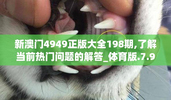 新澳门4949正版大全198期,了解当前热门问题的解答_体育版.7.987
